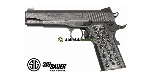 SIG SAUER 1911 WE THE PEOPLE BLOWBACK HAVALI TABANCA