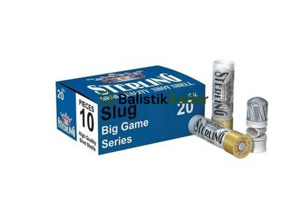 Sterling 20 GA Slug